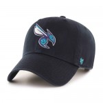 CHARLOTTE HORNETS 47 CLEAN UP