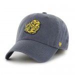 MICHIGAN WOLVERINES VINTAGE CLASSIC 47 FRANCHISE