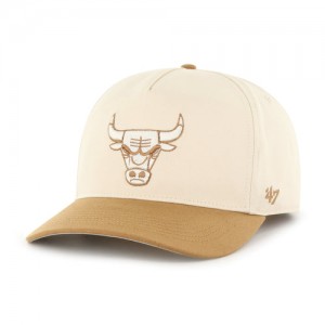 CHICAGO BULLS TWO TONE 47 HITCH