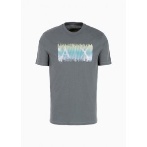 Regular fit cotton T-shirt with multicolor logo