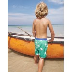 Swim Shorts - Sapling Green Star