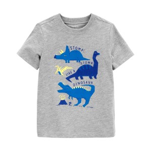 Grey Toddler Dinosaur Graphic Tee