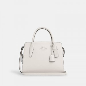 large andrea carryall