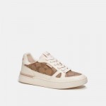 clip court low top sneaker in signature canvas