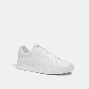 clip low top sneaker with signature canvas