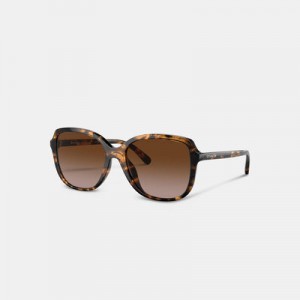 geometric square sunglasses