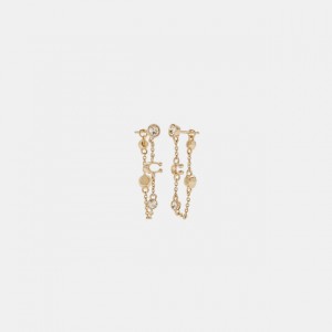 signature crystal chain earrings