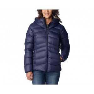 Womens Columbia Autumn Park Down Hooded Jacket