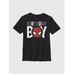 Kids Spiderman Birthday Graphic Tee