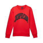 Essentials Plaid Crew Sweatshirt (Big Kids) Fire Red