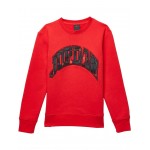 Essentials Plaid Crew Sweatshirt (Big Kids) Fire Red