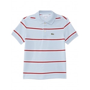 Short Sleeve Striped Childrens Polo Shirt (Little Kid/Toddler/Big Kid) Phoenix Blue/Multico