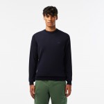 Merino Wool Monochrome Crew Neck Sweater