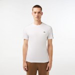 Men's Regular Fit Logo Stripe T-Shirt