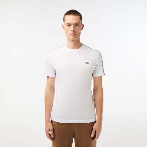 Men's Regular Fit Logo Stripe T-Shirt