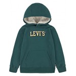 Sherpa Lined Pullover Hoodie (Little Kids) Forest Biome