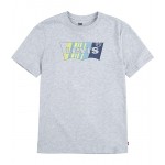 Batwing Fill Graphic T-Shirt (Big Kids) Grey/Painted