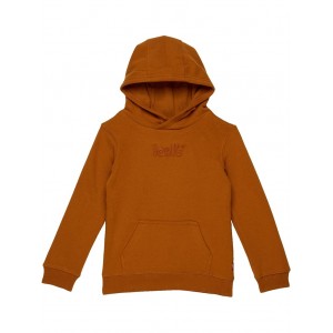Logo Pullover Hoodie (Toddler) Cathay Spice