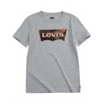 Short Sleeve Graphic Tee Shirt (Big Kids) Light Grey