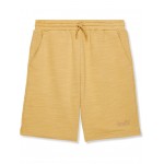 Poster Logo French Terry Shorts (Big Kids) Lark