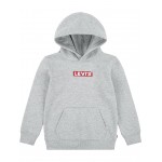 Box Tab Graphic Pullover Hoodie (Little Kids) Grey Heather