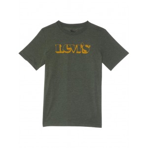Long Sleeve Graphic T-Shirt (Big Kids) Thyme Heather