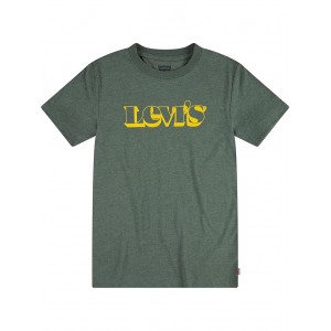 Short Sleeve Graphic Tee Shirt (Little Kids) Thyme