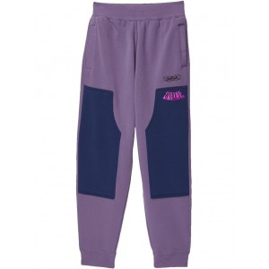 Lebron Bball Graphic 2 Pants (Little Kids/Big Kids) Canyon Purple/Midnight Navy