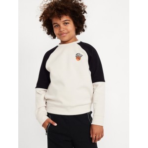 Dynamic Fleece Color Block Graphic Sweatshirt for Boys Hot Deal