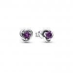 Purple Eternity Circle Stud Earrings - February