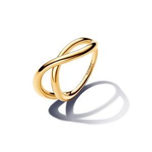 Organically Shaped Infinity Ring - Pandora Shine