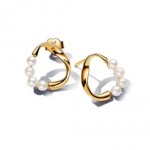 Organically Shaped Circle & Treated Freshwater Cultured Pearls Stud Earrings - Pandora Shine