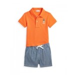 Boys Polo Bear Cotton Polo Shirt & Shorts Set - Baby