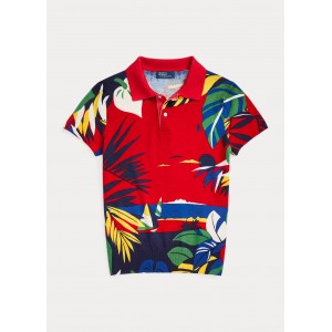 Knit Wool Graphic Polo Shirt