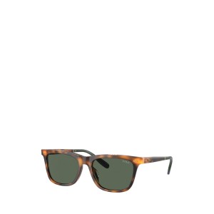 Wimbledon Tortoiseshell Sunglasses
