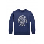 Boys 8-20 Fleece Graphic Sweatshirt