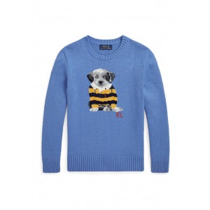 Boys 8-20 Dog Intarsia Cotton Sweater