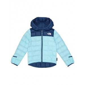 ThermoBall Hooded Jacket (Infant) Atomizer Blue