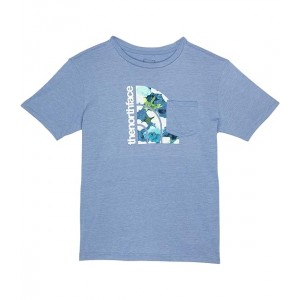 Short Sleeve Tri-Blend Graphic Tee (Little Kids/Big Kids) Folk Blue Heather