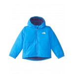 Reversible Mt Chimbo Full Zip Hooded Jacket (Toddler) Optic Blue
