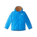 North Down Hooded Jacket (Toddler) Optic Blue