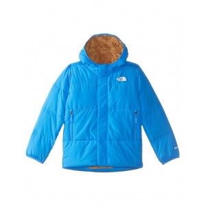 North Down Hooded Jacket (Toddler) Optic Blue