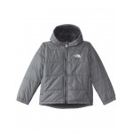 Reversible Mt Chimbo Full Zip Hooded Jacket (Toddler) TNF Medium Grey Heather
