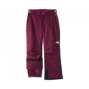 The North Face Kids Freedom Insulated Pants (Little Kids/Big Kids)