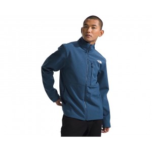 Mens The North Face Apex Bionic 3 Jacket