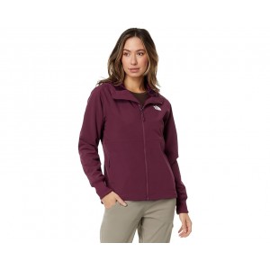 Womens The North Face Shelbe Raschel Hoodie