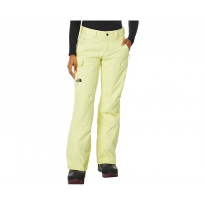 Womens The North Face Freedom Insulated Pants