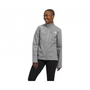 Womens The North Face Apex Bionic 3 Jacket