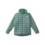 The North Face Kids Thermoball Hooded Jacket (Little Kids/Big Kids)