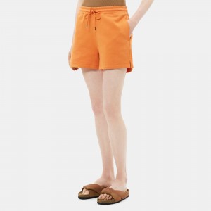 Pull-On Short in Cotton Terry